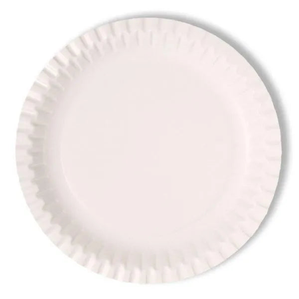 6'' Inch Disposable Paper Plates  Eco-Friendly Small Party & Snack Plates